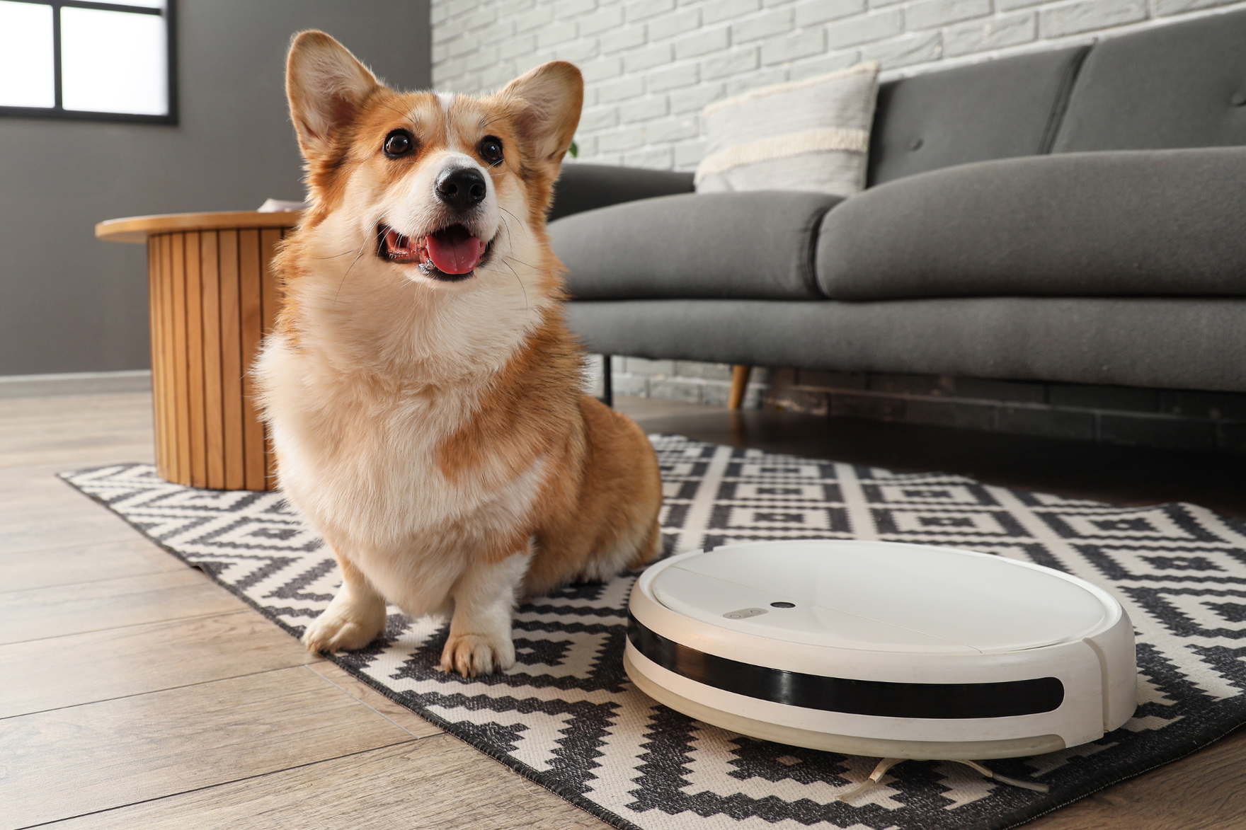 Smart home w małym mieszkaniu? To możliwe. Te sprzęty Xiaomi to nasza topka na 2025