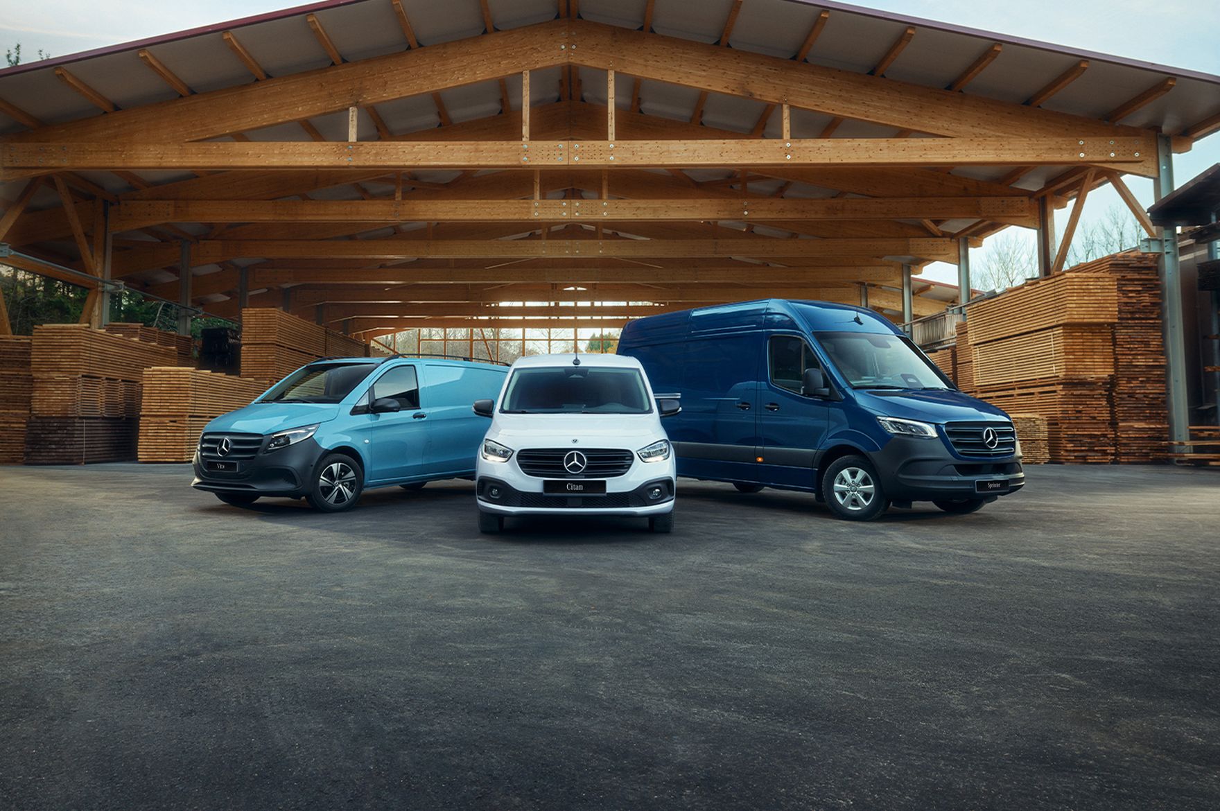 Citan, Vito i Sprinter w wyprzedaży rocznika 2025