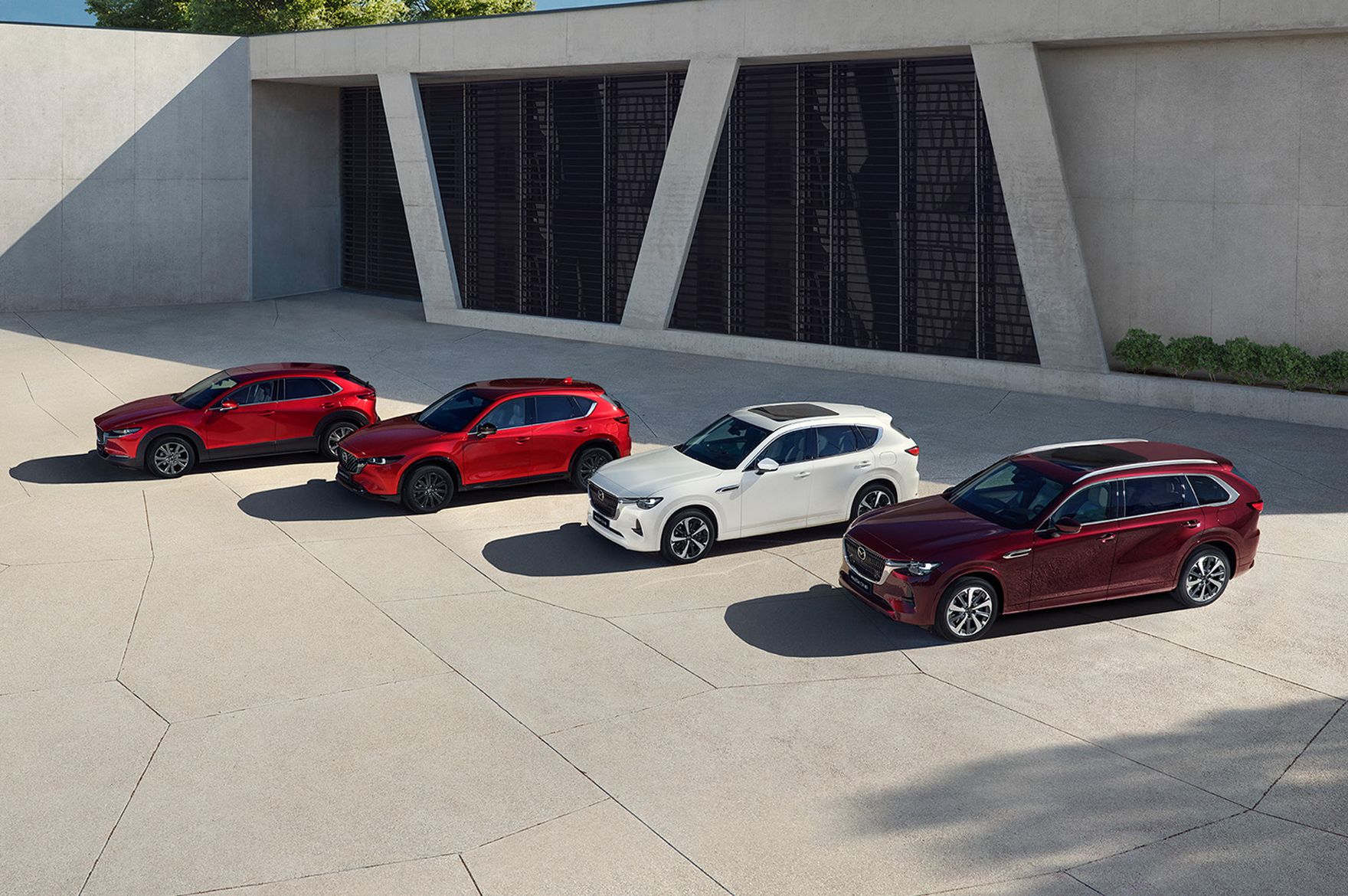 Japońska rewolucja właśnie się rozpoczęła! Ta oferta zwala z nóg, mega okazja!