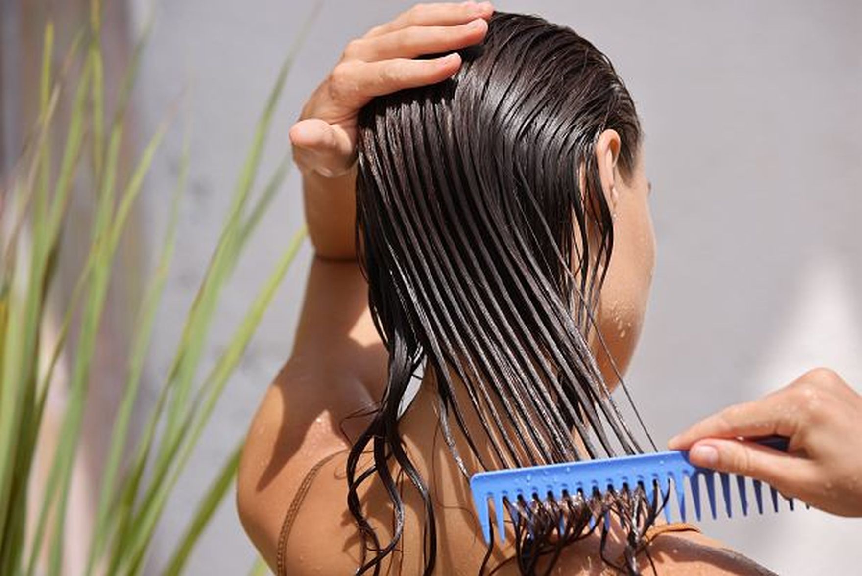 Jak przywrócić włosom zdrowy blask? Kosmetyki do włosów z olejkiem jojoba bio od Yves Rocher są niedrogie, a skuteczne!